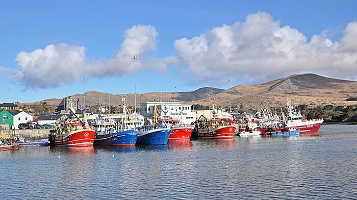 Councillors back push to aid inshore fishermen Image