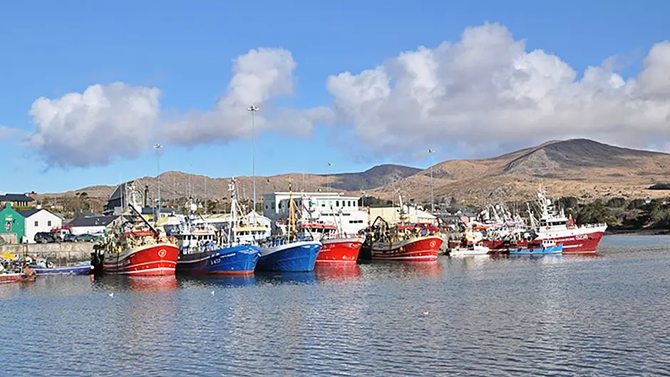 Aquaculture grants are awarded to marine firms Image