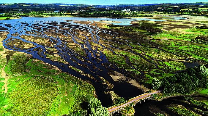 [Video] Gearagh running dry as it experiences lowest water levels in over 40 years Image