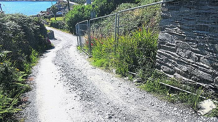 Cape Clear roads and water will be worth waiting for Image