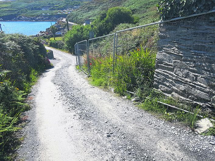 Cape Clear roads and water will be worth waiting for Image