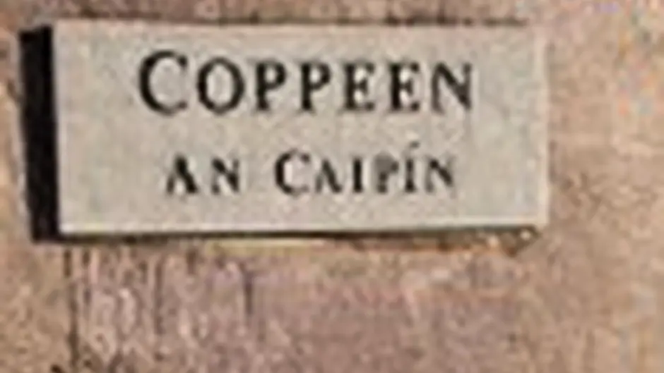 Road closures near Coppeen for cattle underpass installation Image