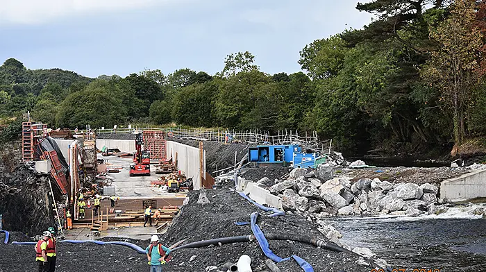 Bandon River's ‘fish pass' is described as ‘butchery' by local environmentalist Image