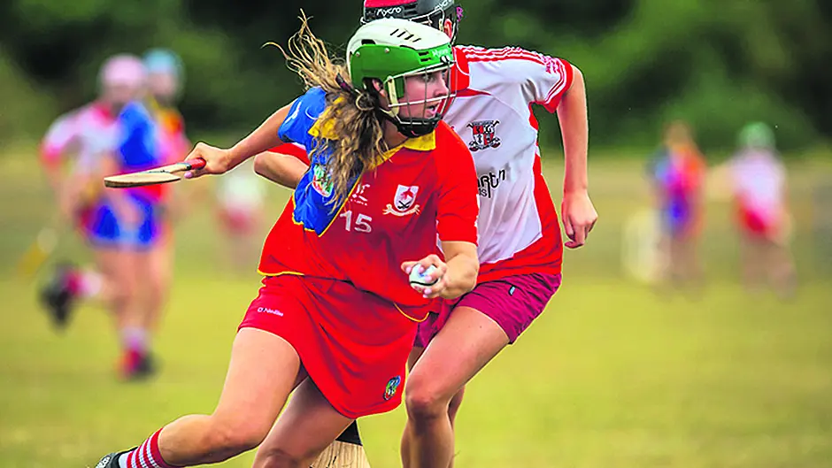 Sugrue stars for Carbery Image