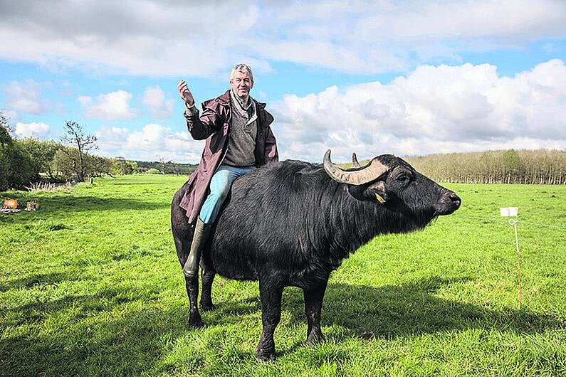 Macroom buffalo cheese milks success at UK's ‘foodie Oscars' Image