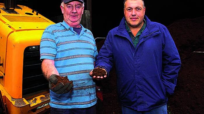 Farmers turn to peat for animal bedding Image