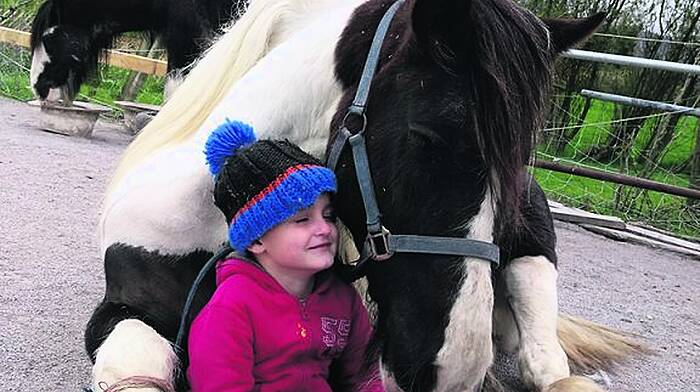 How Hairy Henry became the mane attraction in a special Bantry centre Image