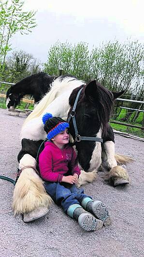 How Hairy Henry became the mane attraction in a special Bantry centre Image