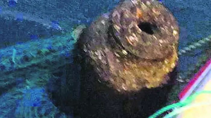 Cannon from 1600s is fisherman's catch of the day Image
