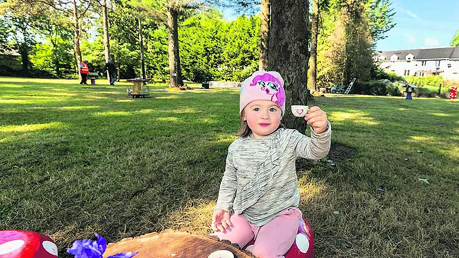 Macroom's fairy garden is enchanting Image