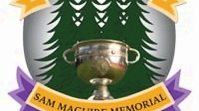 Kilmacabea and Tadhg MacCarthaigh to appeal players' suspensions Image