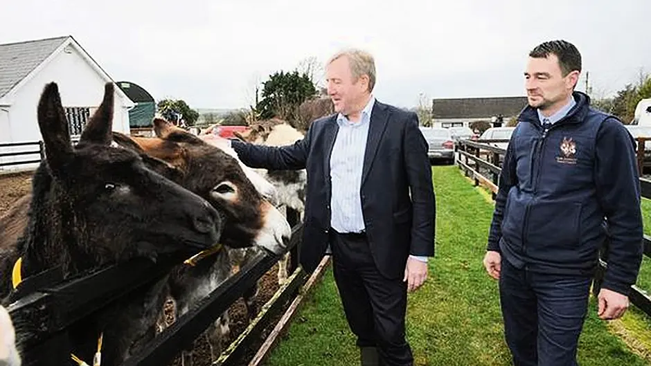 €2.56m awarded to animal  welfare organisations Image