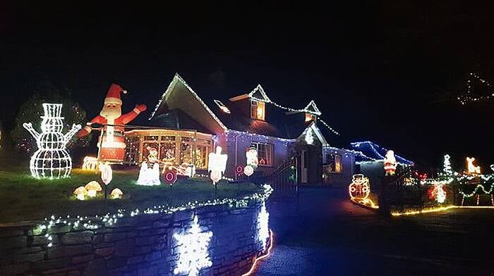 Mean-spirited thieves steal charity box from lights display on Christmas Eve Image