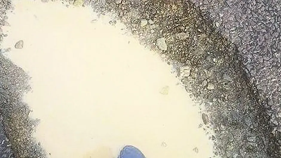 Driver fury as potholes cause havoc Image