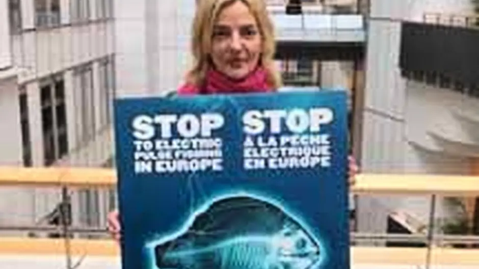 MEPs support pulse fishing ban proposals Image
