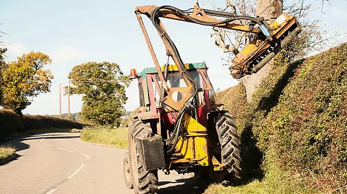 Council to pursue landowners who refuse to cut trees Image