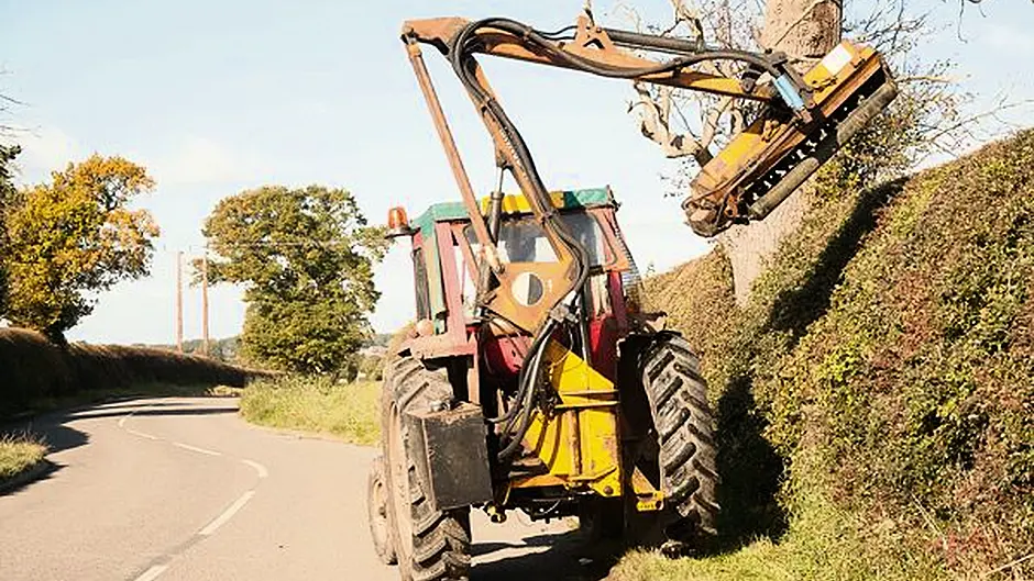 Council to pursue landowners who refuse to cut trees Image