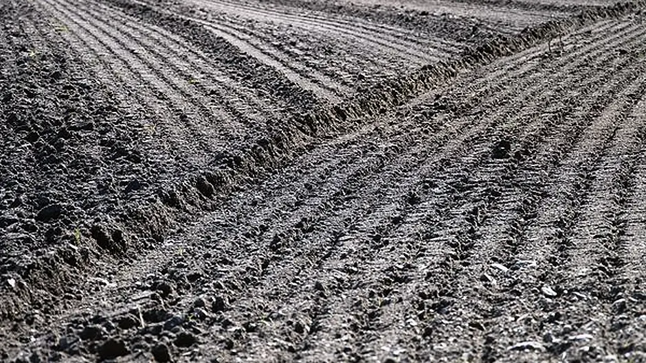 Plough on – new rule blasted as ridiculous Image