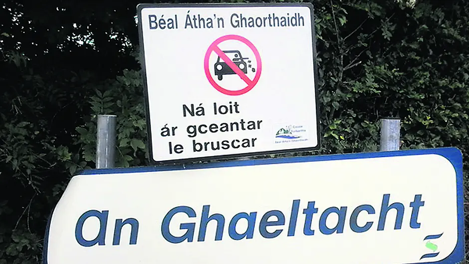Dept defends lack of Cork member on Údarás board Image