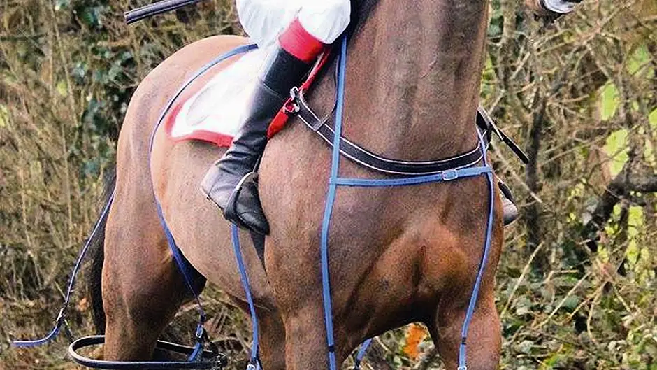 Jamie's the jockey with the Midas touch Image