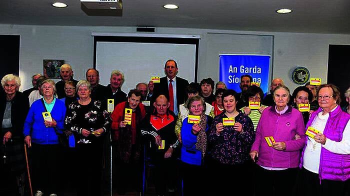 Crime prevention garda gives timely security advice to Luncheon Club Image