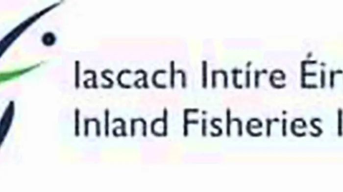 Flood Relief firms in court over fish kill Image