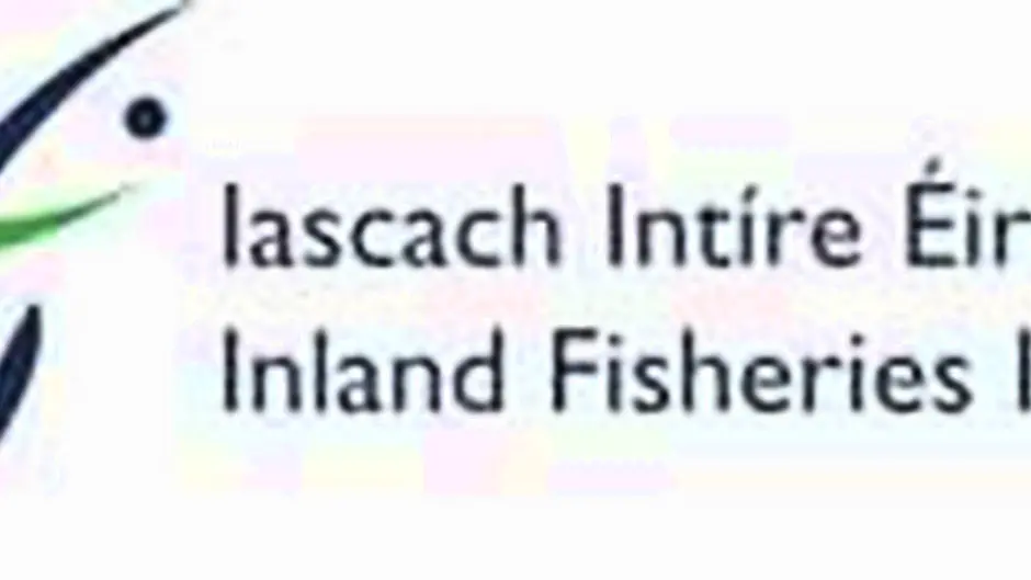 Flood Relief firms in court over fish kill Image