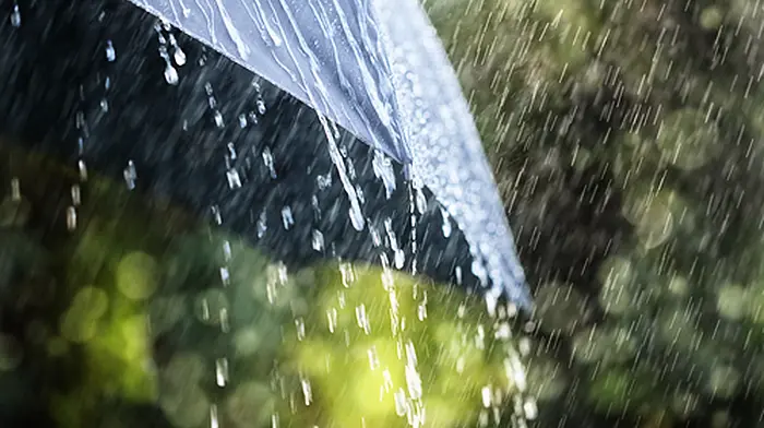 Weather warning for West Cork: heavy rain on Sunday evening into Monday Image