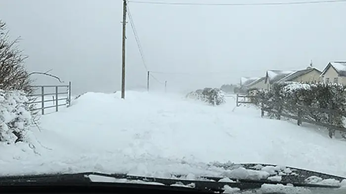 Power outages in Kinsale and Carrigaline and access 'proving more difficult than normal' – ESB Image