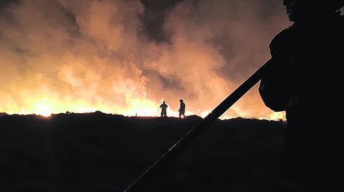 Firefighters rescue dog after gorse fire marathon Image