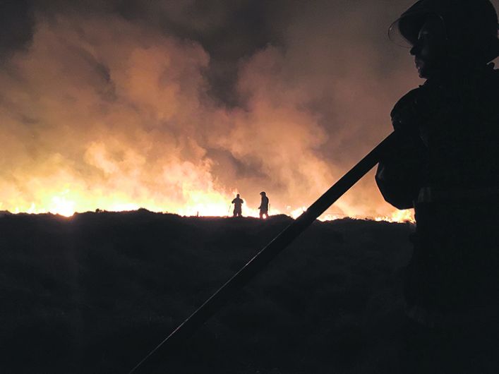 Firefighters rescue dog after gorse fire marathon Image