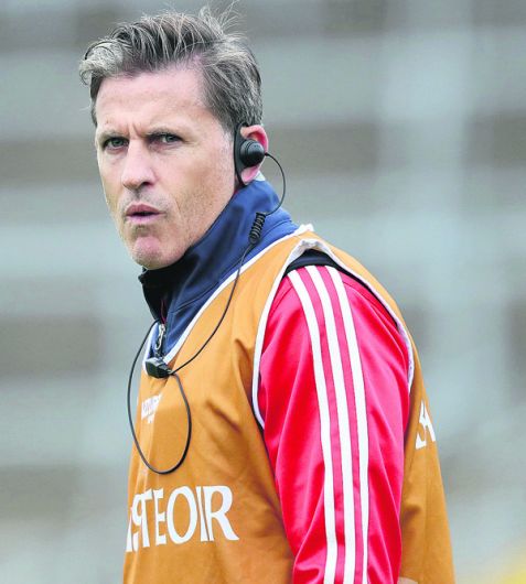 ‘Joining forces will help Cork find pitches  to train on' Image