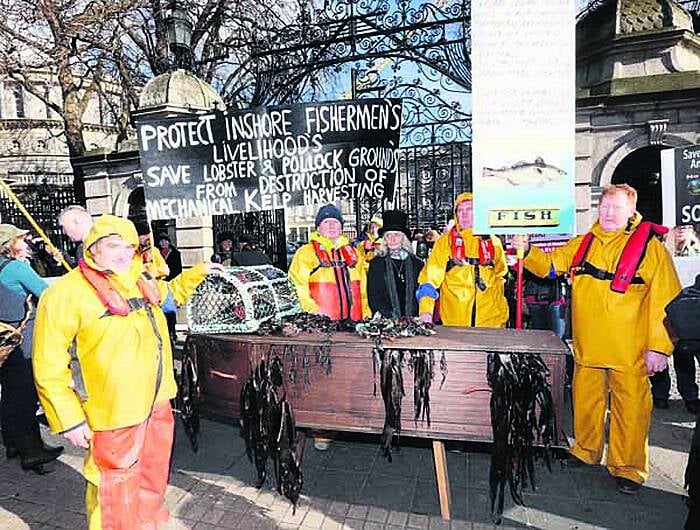 Kelp group takes Bantry protest up to the Dáil Image