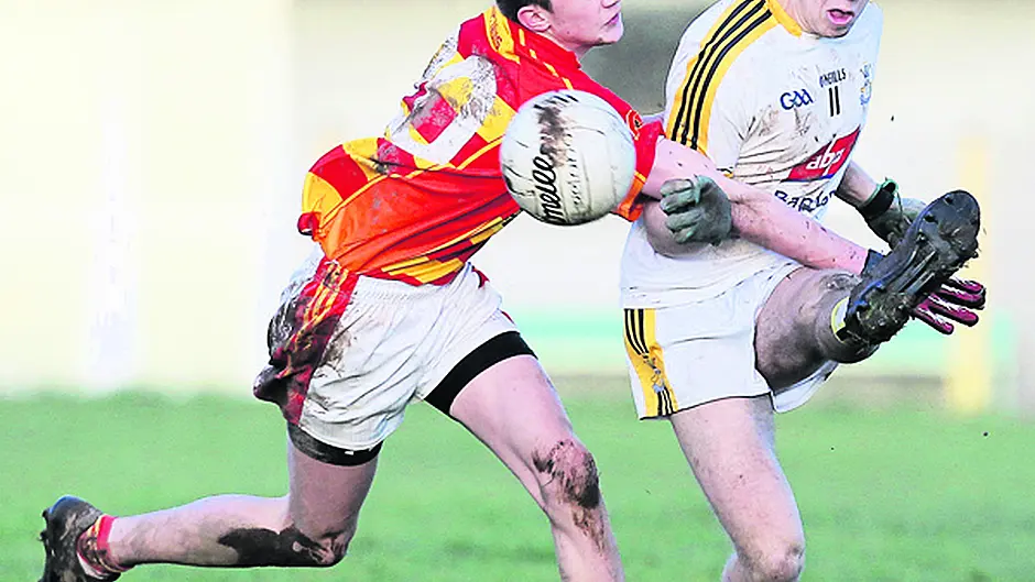 Bandon comeback stuns Newcestown Image