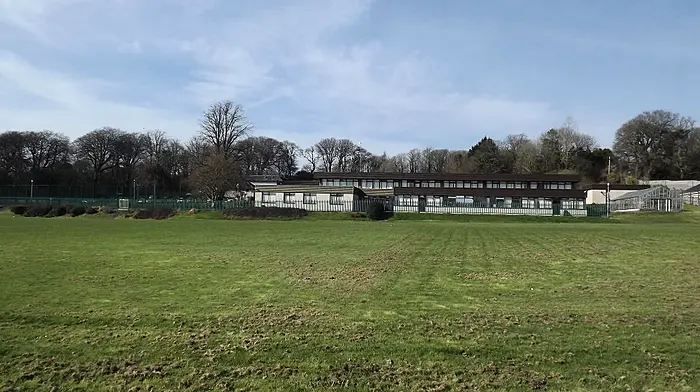 Successful appeal for places in St Brogan's Image