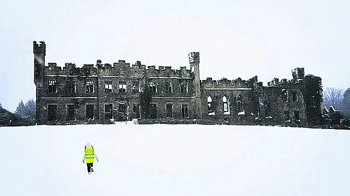 County Council is still out of pocket by almost €7m for post-storm clean-ups Image