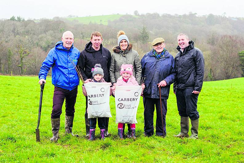 Carbery Group expands tree-planting initiative Image