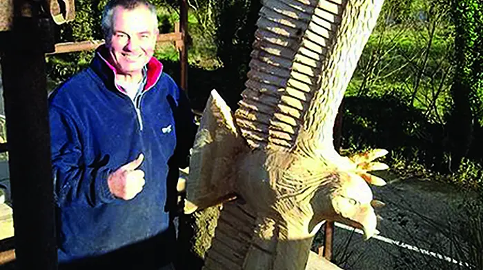 Ophelia's fallen trees are transformed  by ‘chippie' into stunning sculptures Image