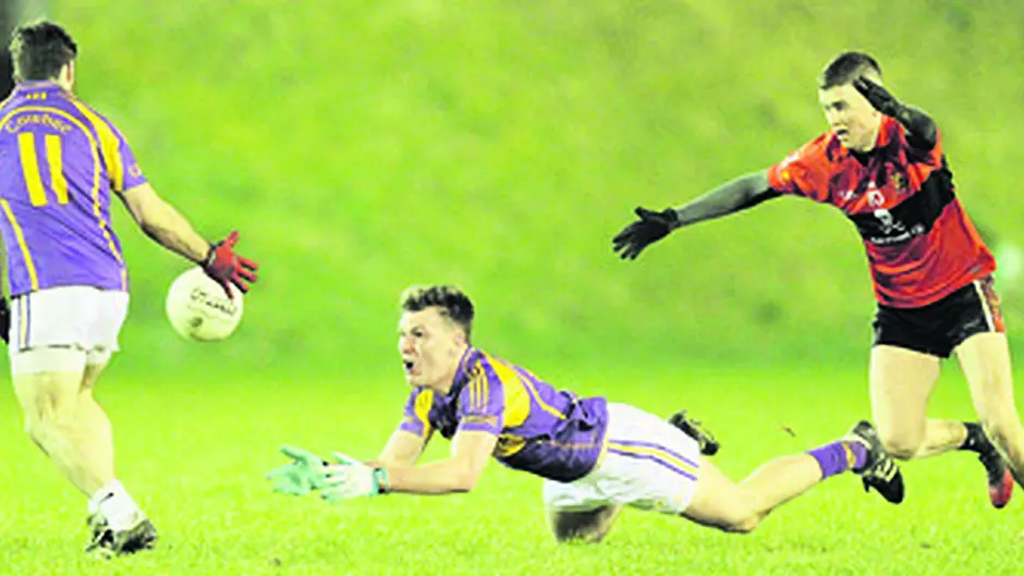 Carbery comeback falls short Image