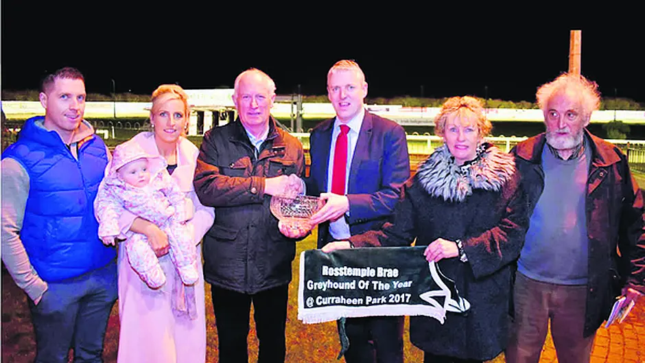Rosstemple Brae continues to shine for Barron Image