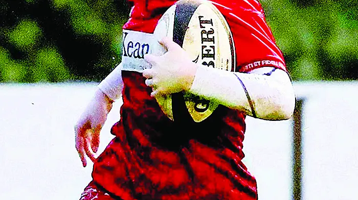 Guest backs Sheehan and Breen to make big impact with Ireland Image