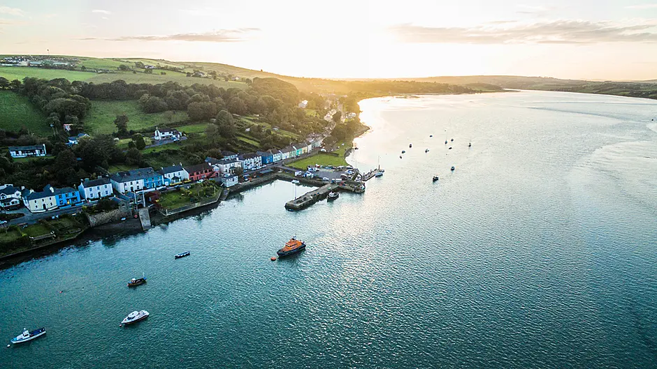 WATCH: Incredible video captures hundreds of Dolphins off Courtmacsherry Image