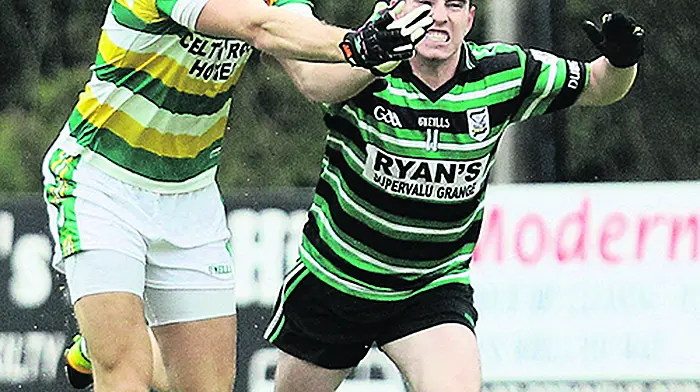 Ross captain Brian Shanahan craves a different type of consistency Image