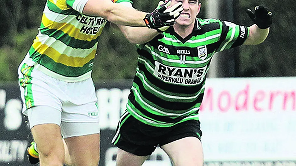 Ross captain Brian Shanahan craves a different type of consistency Image