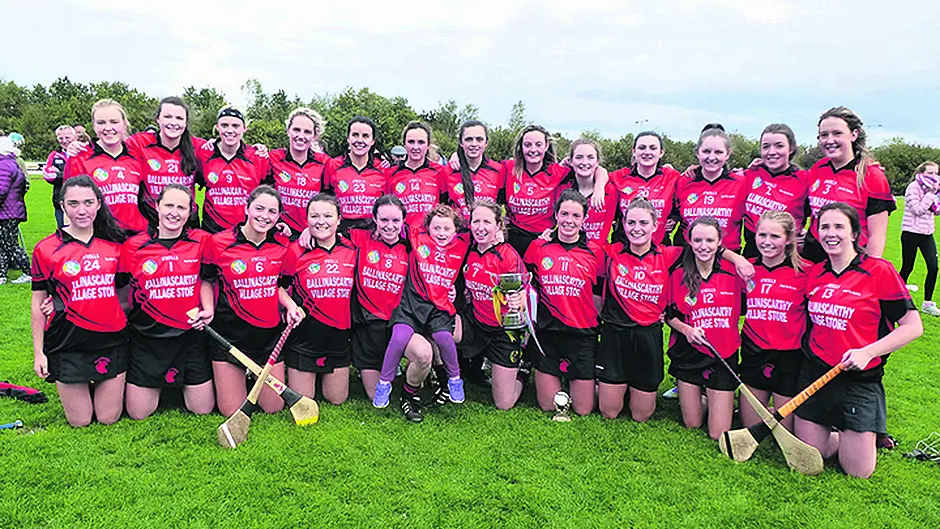 Brilliant Ballinascarthy crowned champs Image