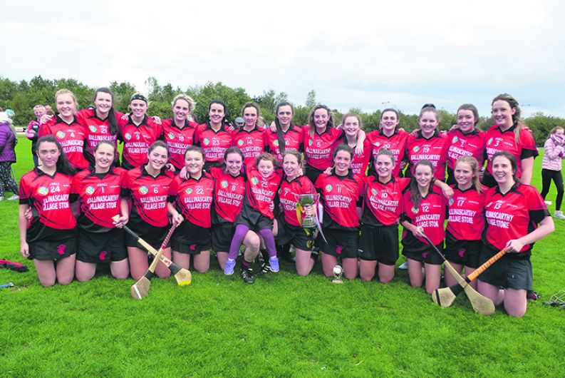 Brilliant Ballinascarthy crowned champs Image