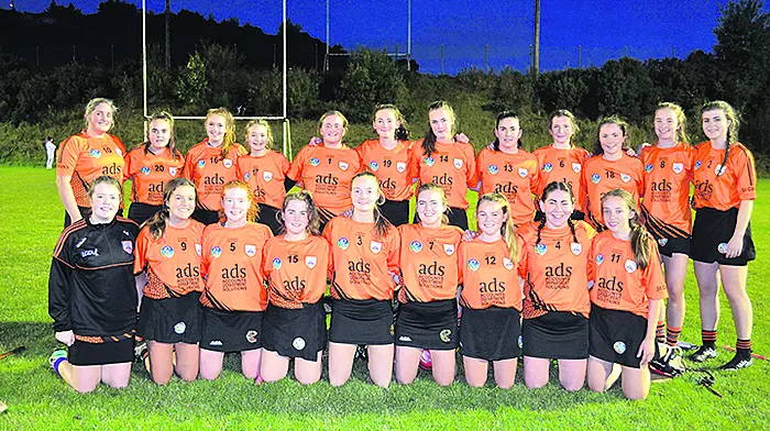 Coppinger hails ‘incredible' Colum's camogie win Image