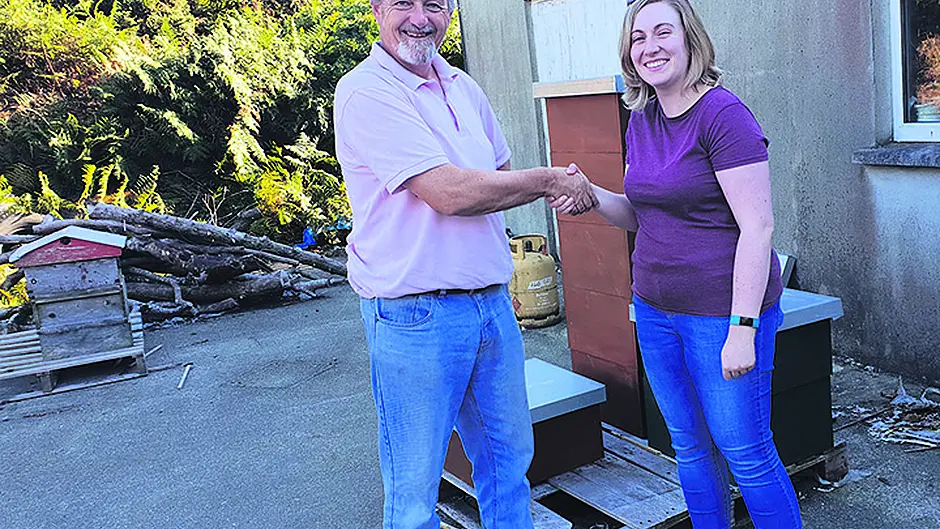 High-tech beekeeping benefits Baltimore honey Image