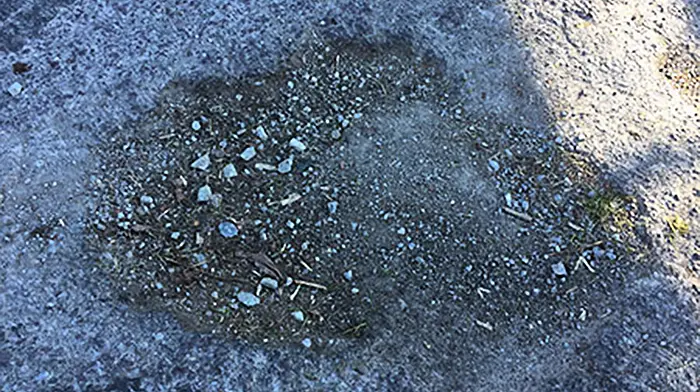 App to help locate potholes Image