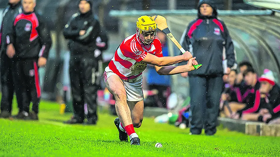 Being underdogs will suit us, says Corcoran Image